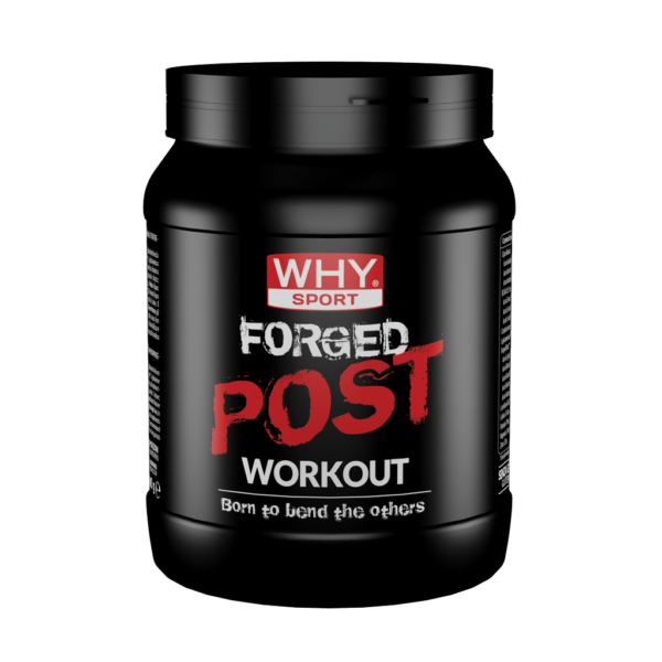 WHY SPORT - FORGED POST WORKOUT 600gr