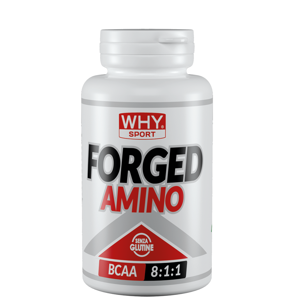 WHY SPORT - FORGED AMINO BCAA 811 150cps