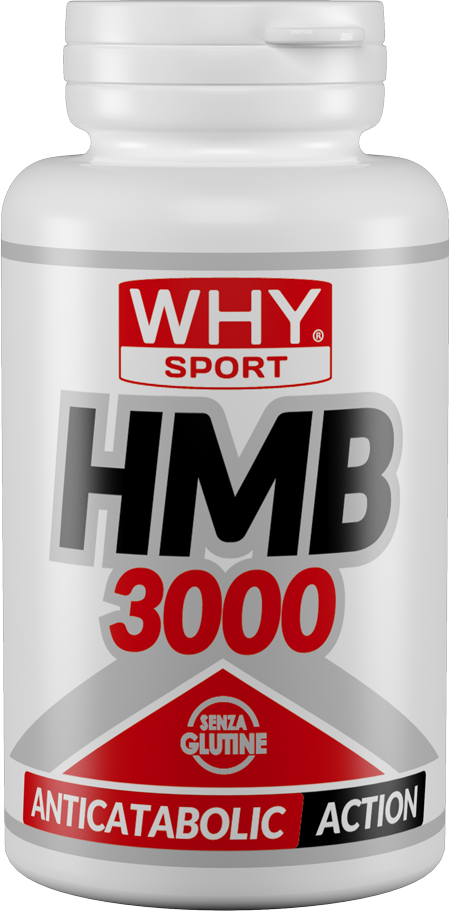 WHY SPORT - HMB 3000 90cps
