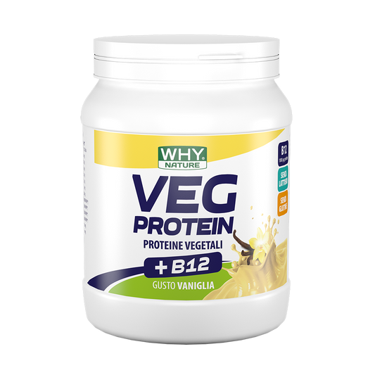 WHY NATURE - VEG PROTEIN 450gr