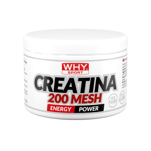 WHY SPORT - CREATINA 200MESH 200gr