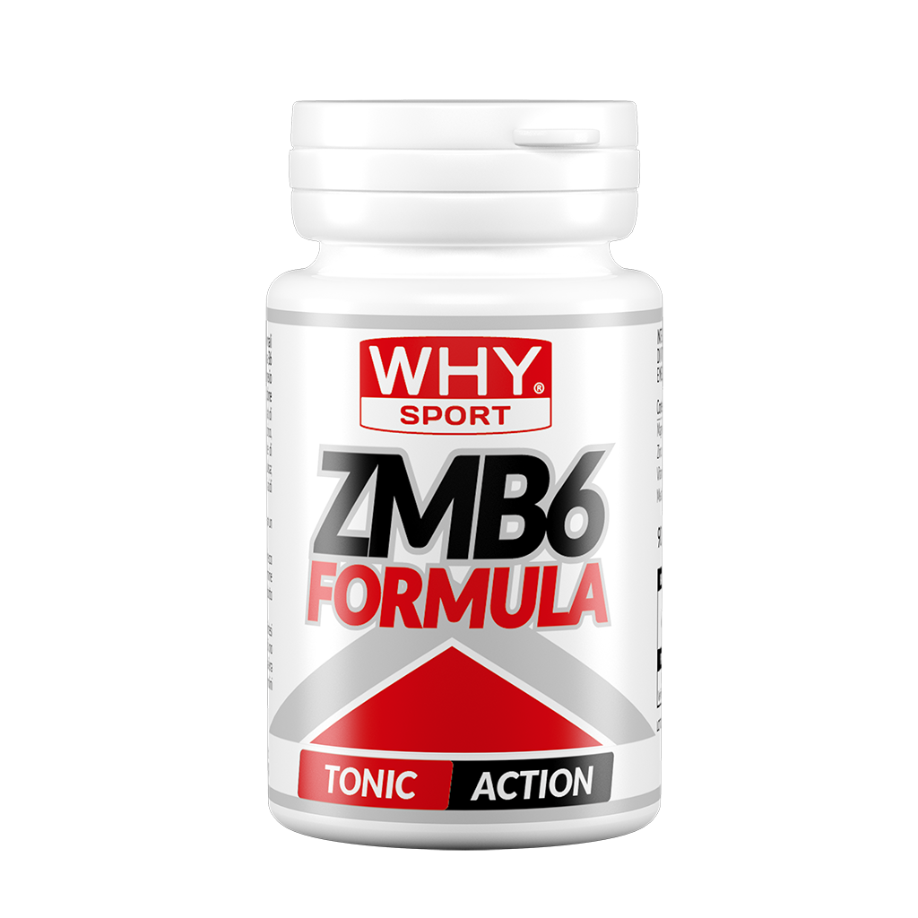 WHY SPORT - ZMB6 FORMULA 90cps