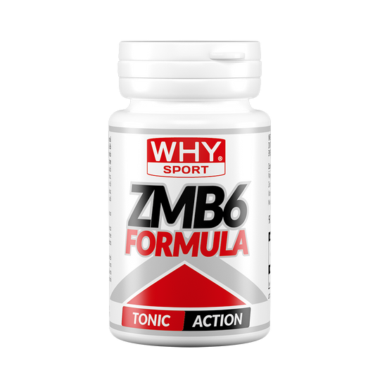 WHY SPORT - ZMB6 FORMULA 90cps