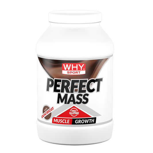 WHY SPORT - PERFECT MASS 1,6kg