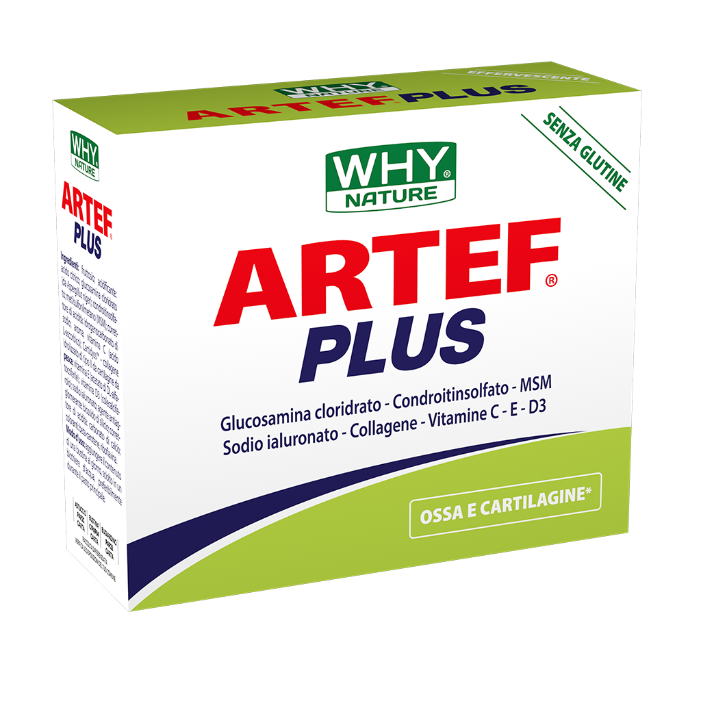 WHY NATURE - ARTEF PLUS 168gr