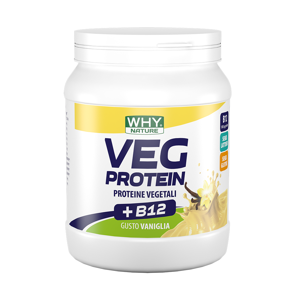 WHY NATURE - VEG PROTEIN 450gr