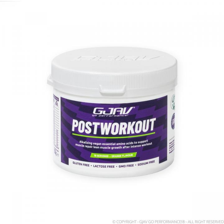 GJAV - POSTWORKOUT 252g