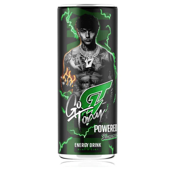 GO TONY - ENERGY DRINK 205ml