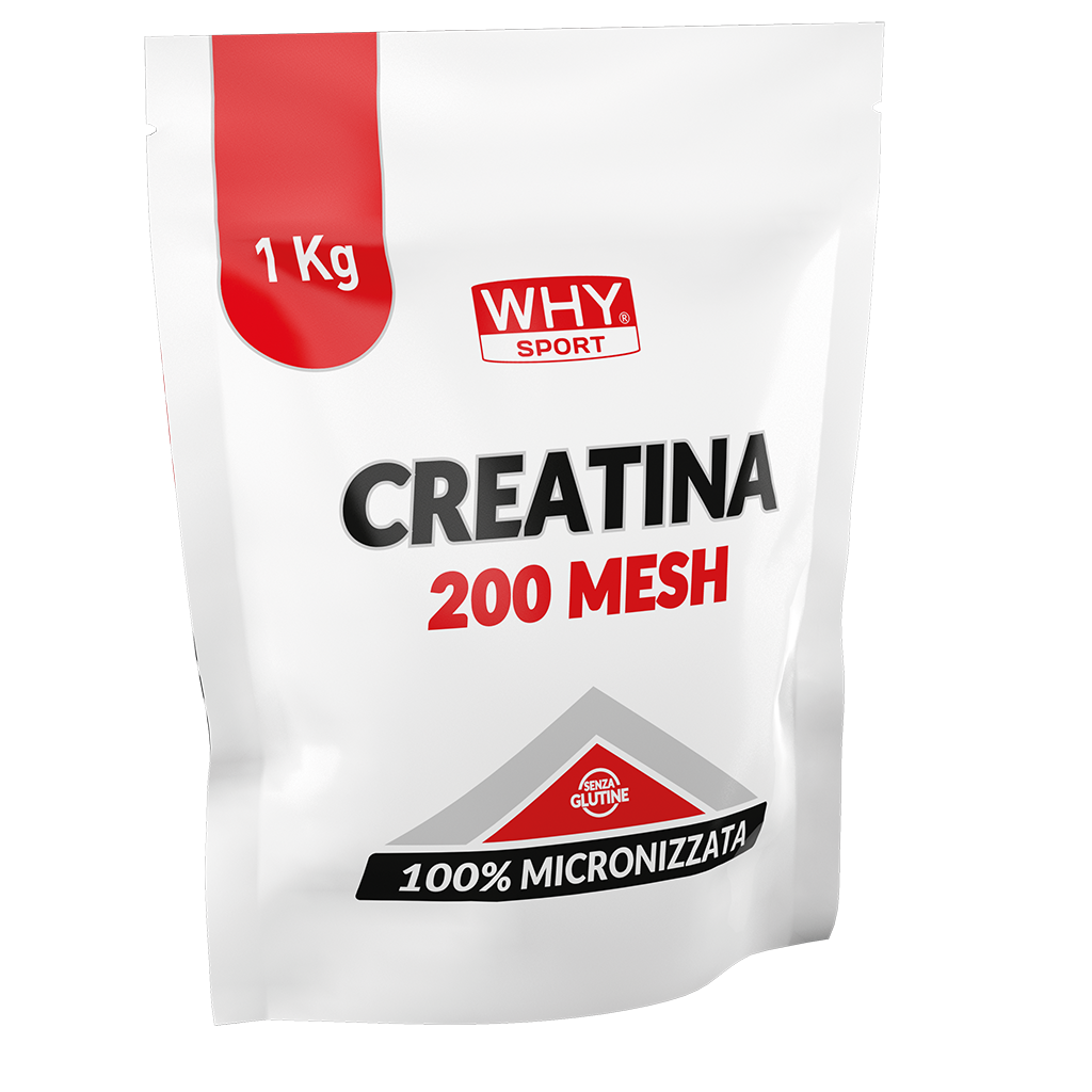 WHY SPORT - CREATINA 200MESH 1kg